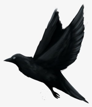 Painted Raven - Raven