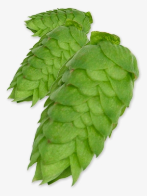 Comet Pellet Hops - Hops