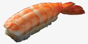 Sushi Shrimp - Fish Slice
