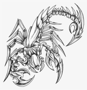 Scorpion Tattoo Designs Black And Grey