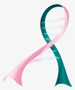 Especially Premenopausal Breast Cancer - Breast And Ovarian Cancer Ribbon