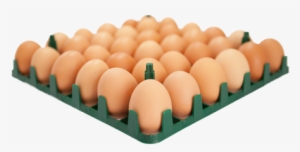 36 Egg Tray - Eggs In A Tray Png