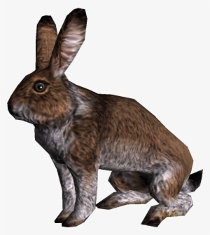 Skyrim Rabbit