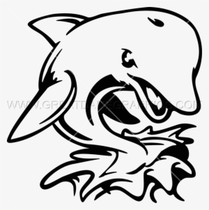 Angry Dolphin - Dolphin