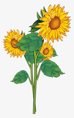 Sunflowers - Sunflower Cliparts