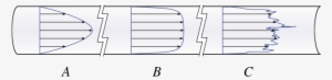 Pipe Flow Velocity Distribution Laminar Turbulent - Velocity Distribution In Pipe