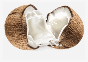 Coconut - Cha's Organics Light Organic Coconut Milk