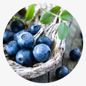The Member Of Wiki - Deep Blue Blueberry Seeds