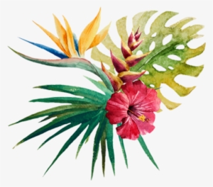 Jungkook 🌈🌴🌺bts Btsarmy Jungkook Jin Suga Jimin - Bayou Breeze Aquilina Wild Tropical Orchid Shower Curtain