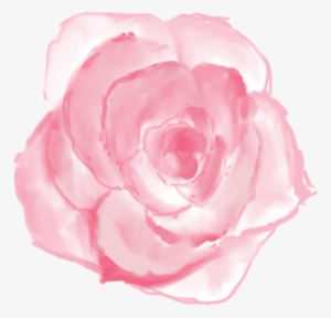 Dark Pink Rose - Flores Blush Png