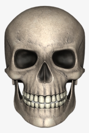 Adult Content Safesearch Skull Day Of The Dead Bone - Tierisches Eiweiß Ist Ungesund - Epub