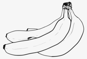 This Free Icons Png Design Of Banana Bunch Line Art