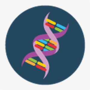Dna Helix Clip Art At - Clip Art