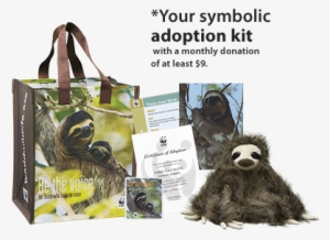 Sloth Adoption Kit Symbolically Adopt A Sloth - Sloth