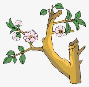 Jpg Black And White Download Peach Watercolor Painting - Peach