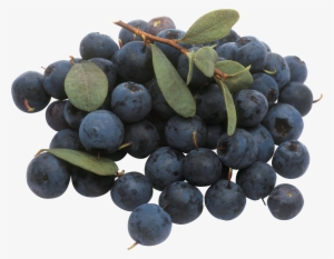 Blueberry Png