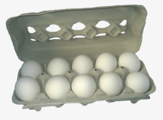 Egg Carton Transparent