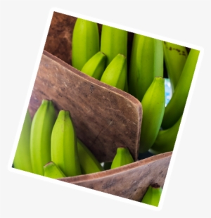 History Pics Banana - Banana