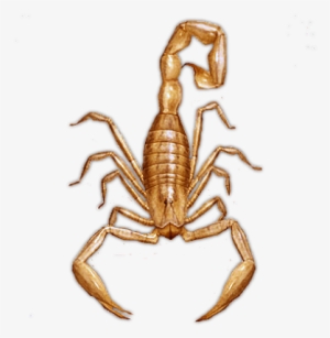 Banner Freeuse Stock Ghost D Pfsrd Source Dundjinnicom - Gif