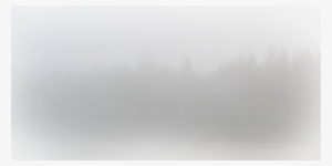 03 585k Dm Bg 250 30 Apr 2012 - Fog