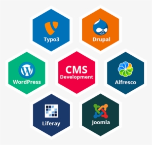 Cms Development - Wordpress