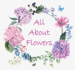 All About Flowers Online Ordering