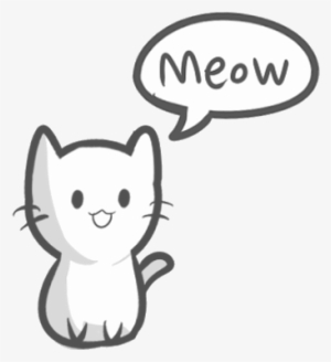 Cat Academy - Cute Gif