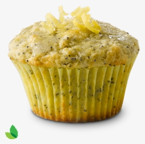 Poppyseed Muffin