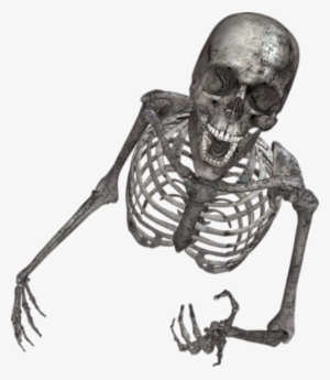 Halloween Skeleton Tells A Funny Joke Graveyard Scene