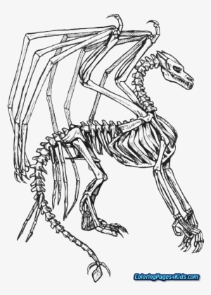 halloween skeleton coloring pages  coloring book