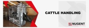 Ffm Website Banners Nugent Engineering Cattle Handling