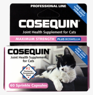 Container Of Cosequin Standard Strength