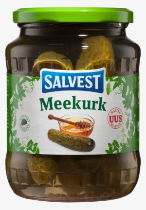 Salvest Marineeritud Kurgid
