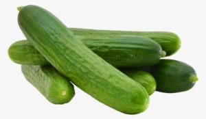 For A Bold Taste - Mini Gurken