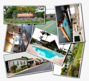 Collage-magiclamp - Collage