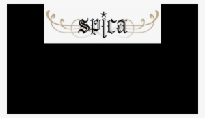 Spica Holds Pre-release Guerrilla Concerts For “secret - Concert