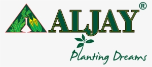 Drawing: The Enactive Evolution Of The Practitioner