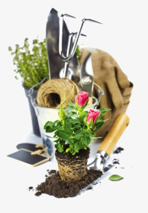 Garden Tools Flowers A - Bouquet Garden Tools Flowers A - Bouquet