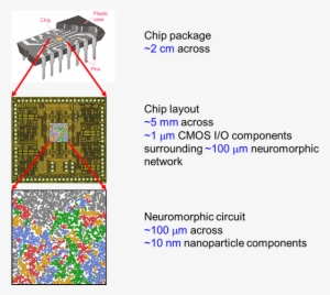 Computer Chip Brain Cmos Circuit - University Of Canterbury