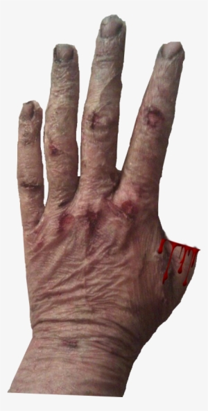 4 Scars - Sign Language