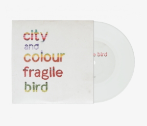 Fragile Bird - City And Colour Fragile Bird