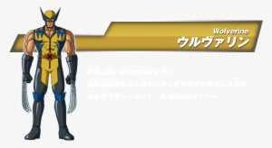 Wolverine Mdwta Chart - Marvel Disk Wars Wolverine