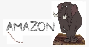 How Ants Kill Elephants The Amazon - Indian Elephant