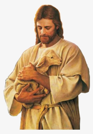 10, 1-21 - Jesus Bom Pastor Imagens