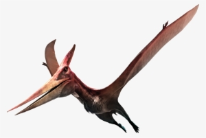 In A Separate Room, Created Together With The Museum - Pteranodon Realistic