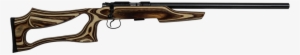 Cz 455 Evolution Varmint Gg