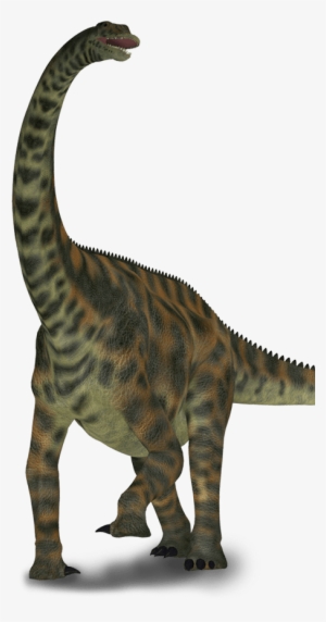 Scene Dino - Dinosaurs Spinophorosaurus