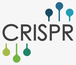 Take Just One Pervasive Disease, Diabetes - Crispr Png