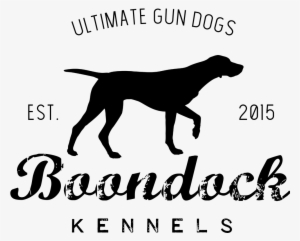 Upcoming Litters - Post Card To Someone While You