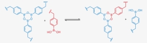 Guan Lab Discovers How To Reshape And Recycle Thermosets - Boroxine Thermosets